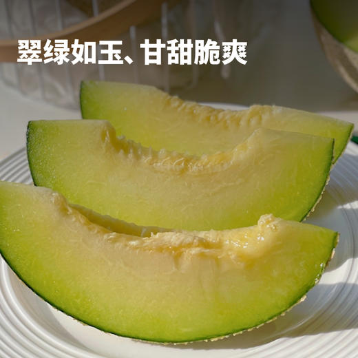 【预售 顺丰包邮】绵密软糯 香甜多汁 | 赤峰牛3蜜瓜 甜瓜贵族 中秋送礼 5斤精品礼盒装 商品图1