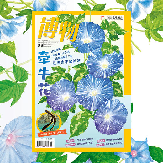 《博物》202408 牵牛花 婆罗洲珍禽异兽 厦门大学人类学专业 亚马孙人 夏日吃姜 商品图1