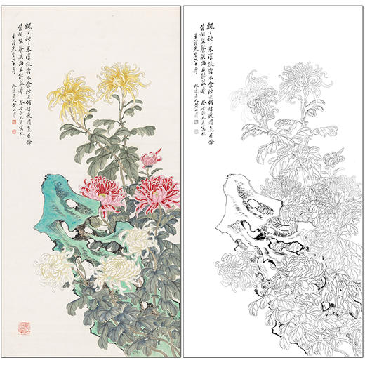 黄山寿工笔画白描底稿《菊石延年图》临摹勾线高清打印稿HS01 商品图0