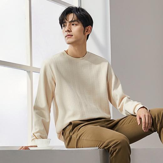 柒牌男装圆领卫衣男士2024秋季新款提花肌理时尚休闲长袖套头上衣	127W70370 商品图1