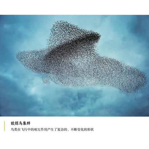 《混沌的世界》 商品图12