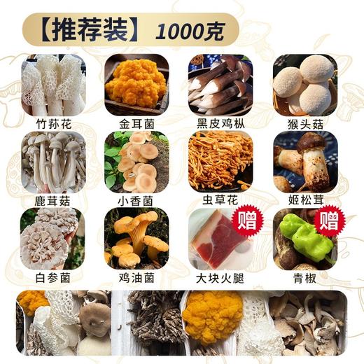 【野生菌组合•云南】#顺丰空运  10种菌菇 美味鸡枞菌、金耳菌、青头菌、鸡油菌、虫草花、牛肝菌、竹荪花等2种组合任选 商品图1