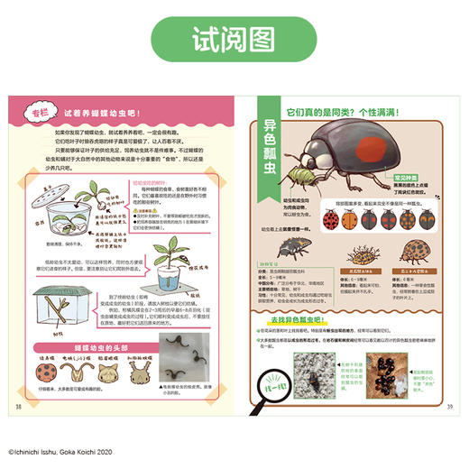 探索身边的大自然 郊外常见动物图鉴 生物科普图鉴 大自然观察 户外自然 商品图2