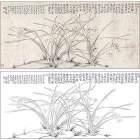 于非闇花鸟工笔画白描底稿《凌波逸态》兰花临摹勾线高清打印稿HS05