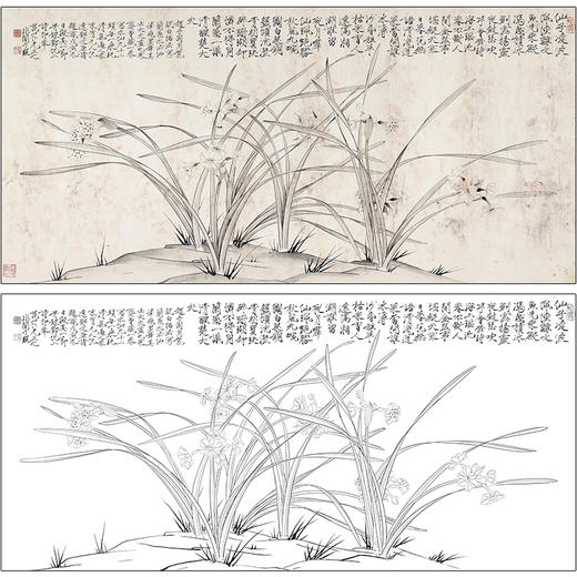 于非闇花鸟工笔画白描底稿《凌波逸态》兰花临摹勾线高清打印稿HS05 商品图0