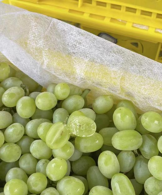 周四取货：【新疆无核白葡萄】一箱毛重5.5斤左右，  甜蜜多汁，一口一颗，甜蜜蜜！ 商品图4