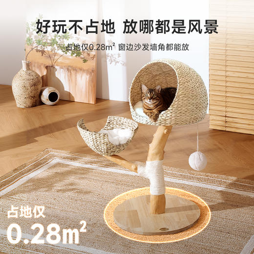 兽牌木悠系列猫爬架 商品图4
