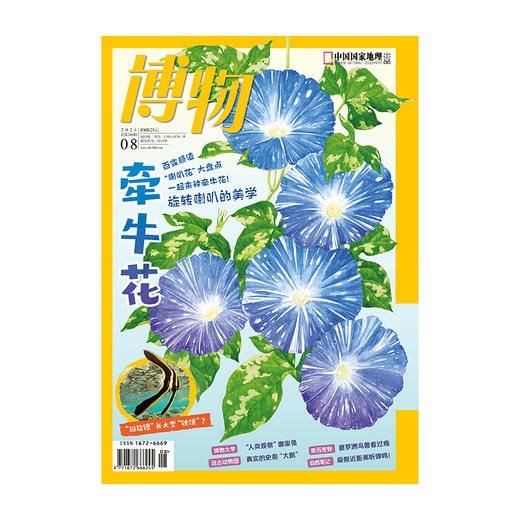 《博物》202408 牵牛花 婆罗洲珍禽异兽 厦门大学人类学专业 亚马孙人 夏日吃姜 商品图2