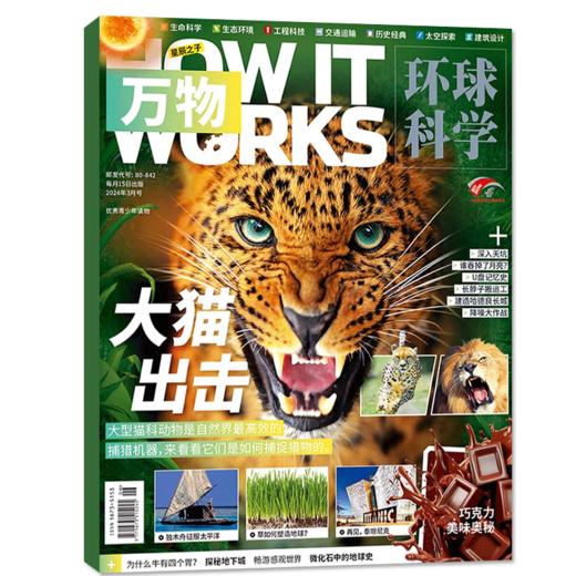 《万物》(8-15岁)2026年1月开始发货 商品图2