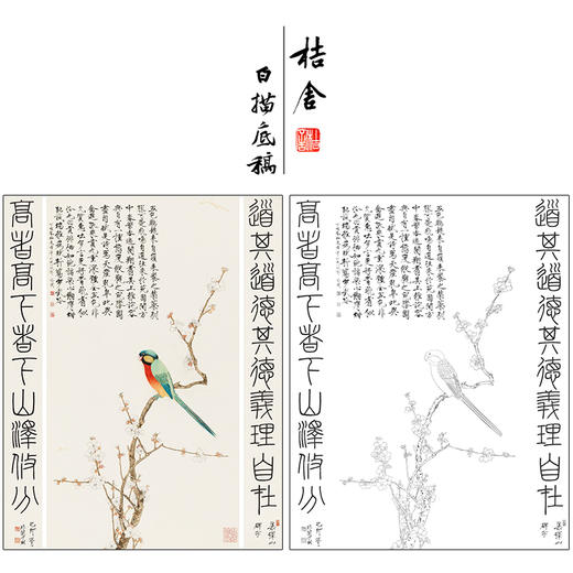 于非闇花鸟工笔画白描底稿《五色鹦鹉并篆书十言对联》临摹勾线高清打印稿HS31 商品图0
