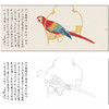 于非闇花鸟工笔画白描底稿《五色鹦鹉》临摹勾线高清打印稿HS07 商品缩略图0