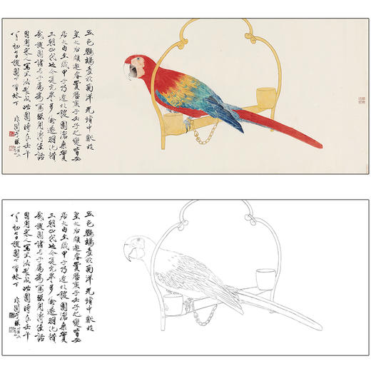 于非闇花鸟工笔画白描底稿《五色鹦鹉》临摹勾线高清打印稿HS07 商品图0