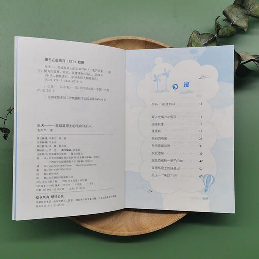 吴天一:雪域高原上的生命守护人（中华先锋人物故事汇）(毛芦芦) 商品图2