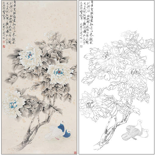 于非闇花鸟工笔画白描底稿《牡丹双鸽》临摹勾线高清打印稿HS28 商品图0