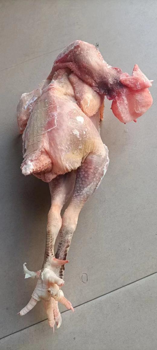 山风老公鸡2公斤 商品图4