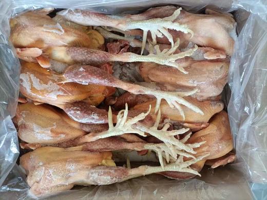 山风老公鸡2公斤 商品图1