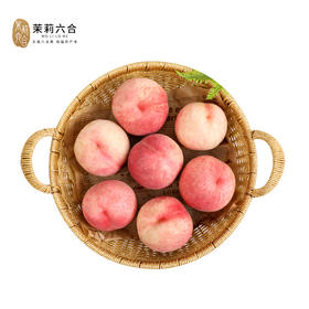 【预售】六合香甜脆桃5斤（单果约4两左右）  线上