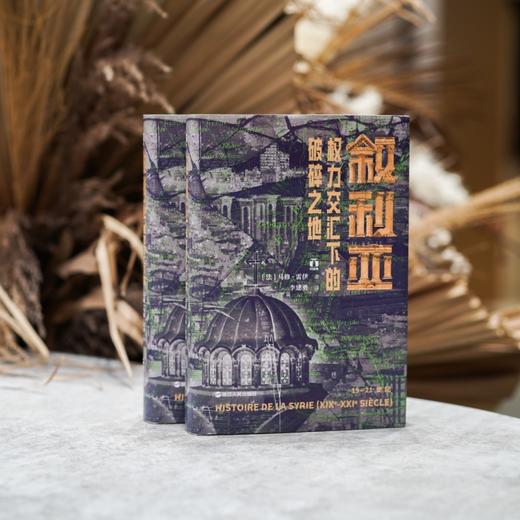好望角丛书·叙利亚：权力交汇下的破碎之地([法]马修·雷伊) 商品图1