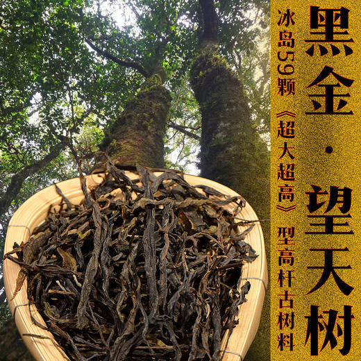 【内部老客回馈】冰岛《黑金望天树》超大树龄， 超高茶树，超野生环境！口感燃爆你的味蕾~~ 花香+冰糖韵甜+野韵岩感！ 内部秒杀价：49.9元/袋/200克，拍2袋发3袋！ 商品图0