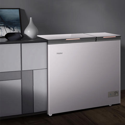 海尔（Haier）212升幻彩系列双箱双温商用家用冰柜 大冷冻小冷藏卧式冰柜家用小型冰箱冷柜FCD-212GHXPGD 商品图2