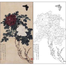 于非闇花鸟工笔画白描底稿《御苑二乔》牡丹临摹勾线高清打印稿HS13