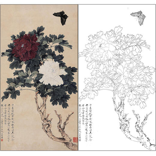 于非闇花鸟工笔画白描底稿《御苑二乔》牡丹临摹勾线高清打印稿HS13 商品图0