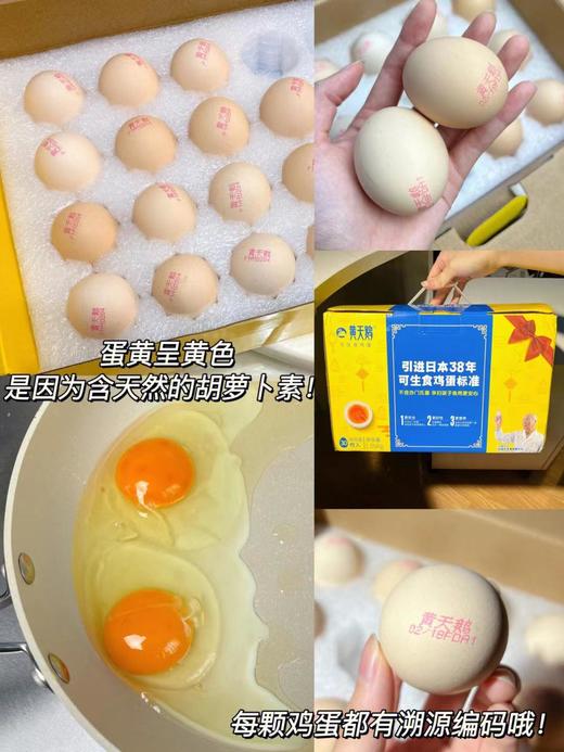 黄天鹅 可生食鸡蛋 30枚/箱 商品图2