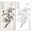 于非闇花鸟工笔画白描底稿《墨牡丹》牡丹临摹勾线高清打印稿HS14 商品缩略图0