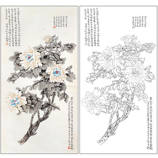 于非闇花鸟工笔画白描底稿《墨牡丹》牡丹临摹勾线高清打印稿HS14 商品图0
