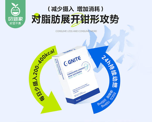 【叼健康】【快递发货】GNITE共轭亚油酸甘油脂马黛茶饮（懒瘦饮）/2盒（每盒15ml*10条） 商品图4