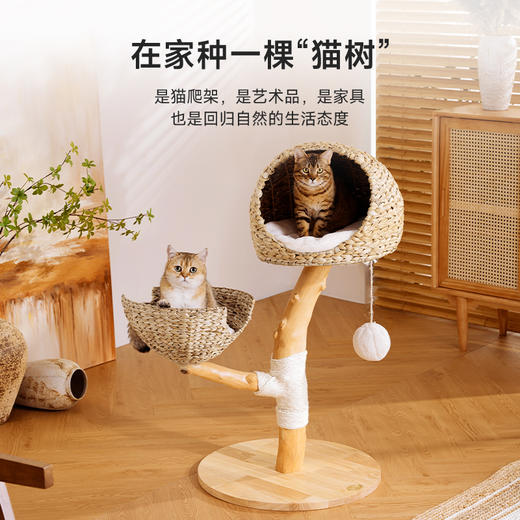 兽牌木悠系列猫爬架 商品图1
