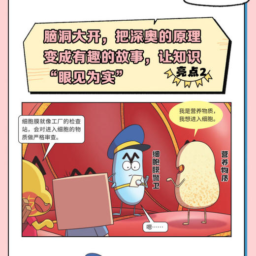 【不白吃学科启蒙系列 全3册 】生物太好玩+化学太好玩+物理太好玩 儿童漫画科普 商品图4