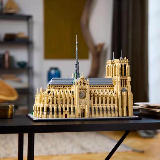 乐高巴黎圣母院21061 商品图4