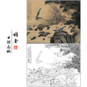 于非闇花鸟工笔画白描底稿《雁荡山鹧》临摹勾线高清打印稿HS16