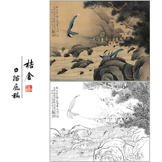 于非闇花鸟工笔画白描底稿《雁荡山鹧》临摹勾线高清打印稿HS16 商品图0