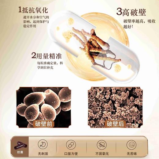 热卖中！1【华北制药虫草菌丝体养元精胶囊 】100%虫草  0添加  无刺激 免疫调节、抗疲劳、改善呼吸  男女皆宜30粒/瓶 商品图2