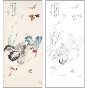 于非闇花鸟工笔画白描底稿《野蔬草虫》临摹勾线高清打印稿HS10