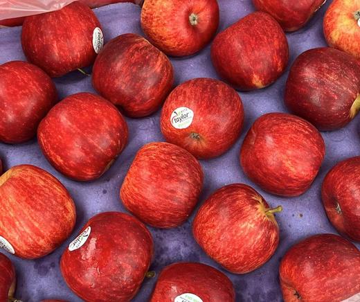 新西兰小苹果 商品图0