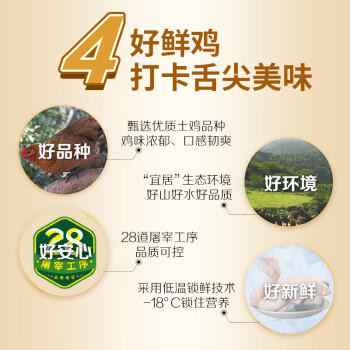 温氏供港黑脚土鸡2斤 莫氏鸡煲同款食材 走地鸡 110天农家散养 商品图1