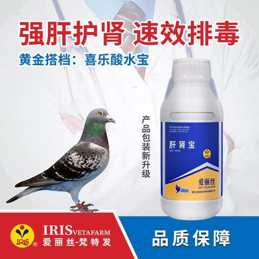 【爱丽丝】肝肾宝100m/250ml/500ml 商品图2