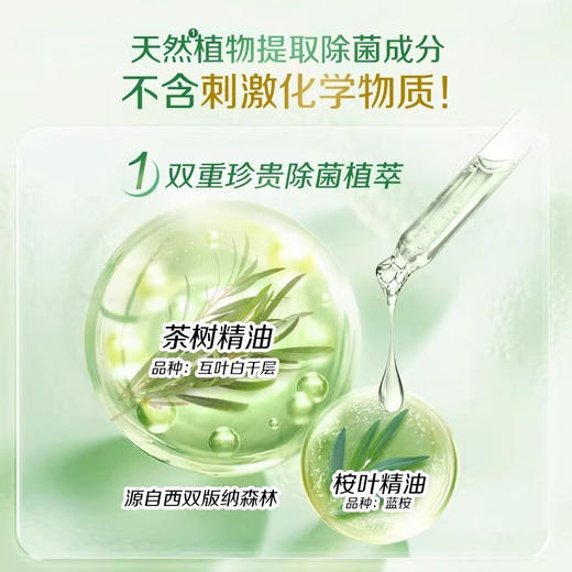 立白卫仕除菌洗衣液（雨林茶花）2000g 商品图4