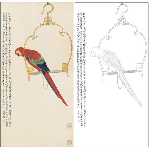于非闇花鸟工笔画白描底稿《五色鹦鹉图》临摹勾线高清打印稿HS32 商品图0