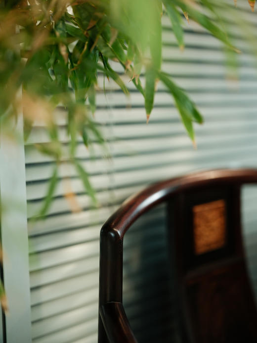 印度小叶紫檀管帽椅【器悟雅玩】 商品图2