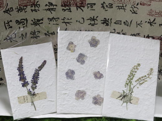 押花贺卡15个起送款式随机 商品图2