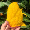 【品味新鲜真滋味！广西贵妃芒】爽滑的口感，细嫩的果肉， 味浓鮮美，爆甜多汁，口 口大满足，节送礼水果礼盒L 商品缩略图1