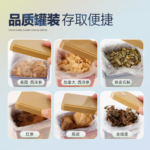 养生小罐茶 西洋参陈皮红参石斛金线莲盒装滋补品 商品图1