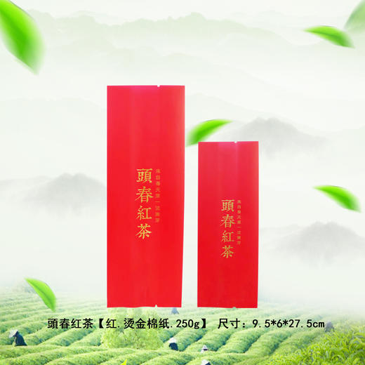 頭春红茶【红.烫金棉纸.250g】铝箔袋 28元1把. 满15把起包邮 商品图0