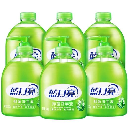 蓝月亮洗手液组合：芦荟洗手液500g*3+芦荟洗手液500g*3 商品图0