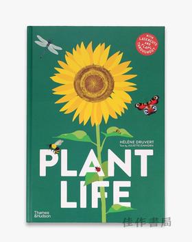 Plant Life / 植物生命