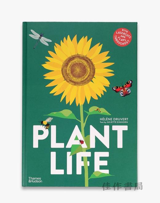 Plant Life / 植物生命 商品图0